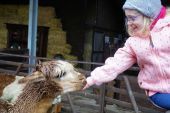 Tiergestützte Aktivität in Gehrden